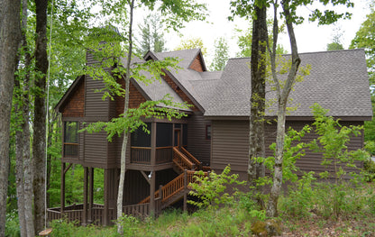 Aspen Grove
